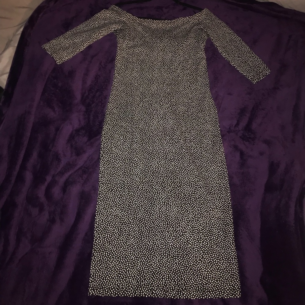 Brand New Zara Polka Dot dress